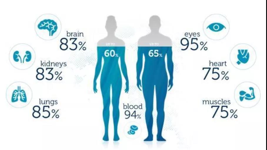 你喝水了吗?你会喝水吗?我们来聊聊怎样才是健康喝水!