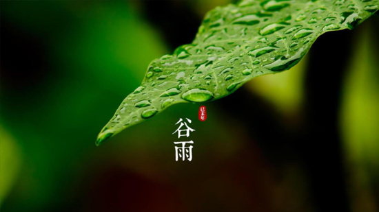 谷雨|喝一杯纯净好水,沐一场人间春色